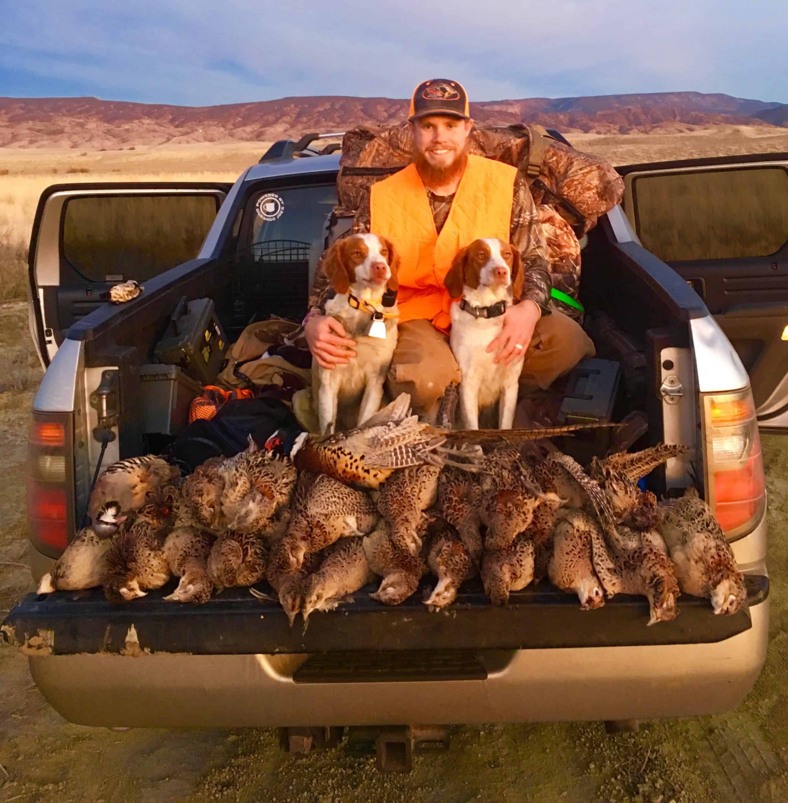 Pheasant Hunting - CO - Trips4Trade