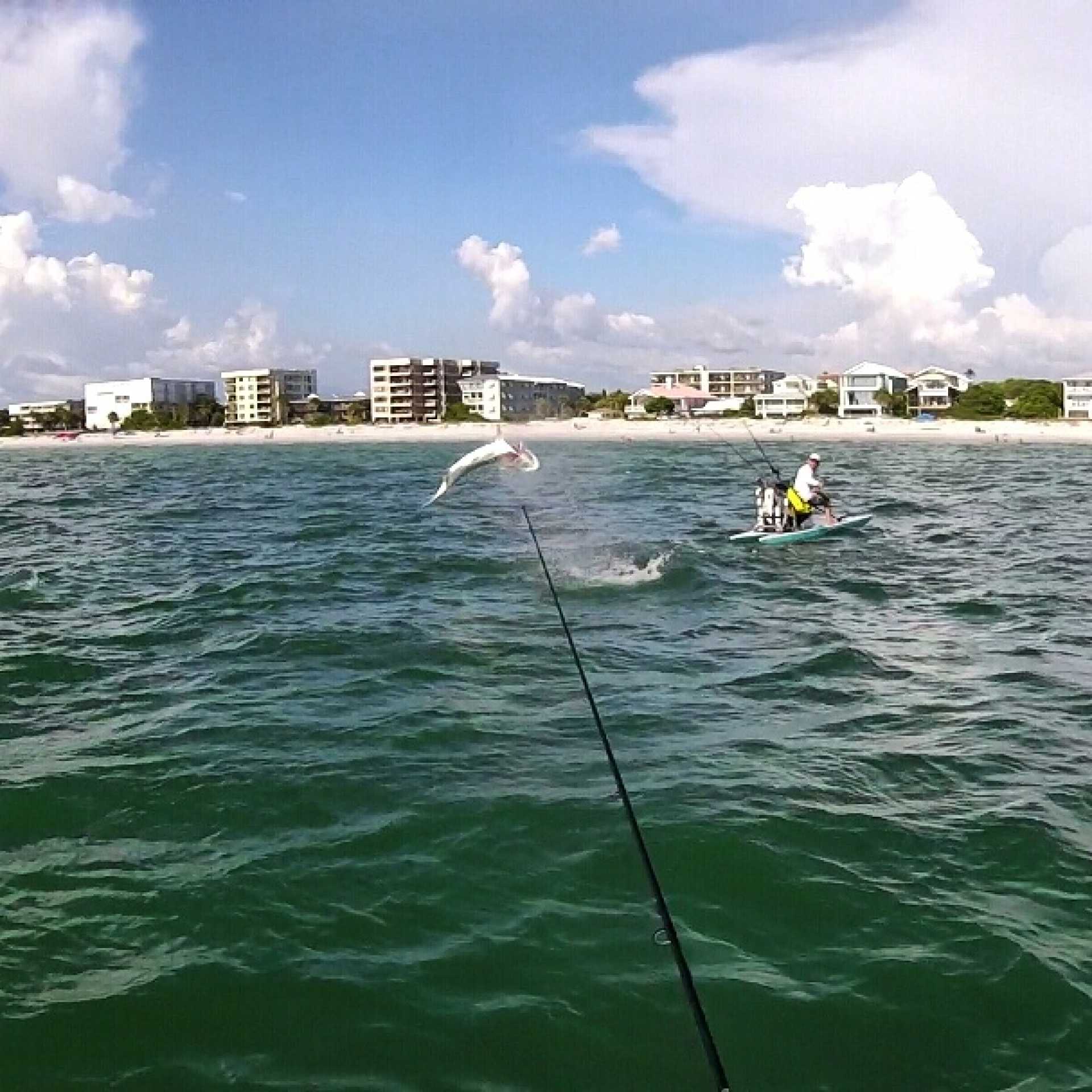 Paddle Board Fishing FL Trips4Trade