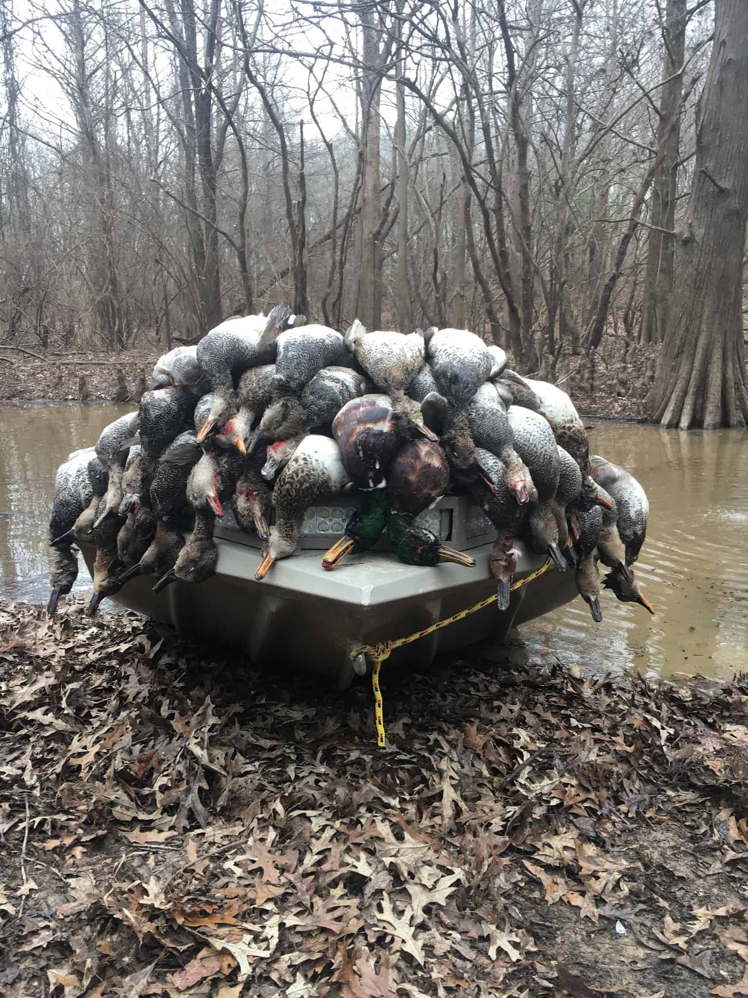 Green Timber Duck Hunting AR Trips4Trade