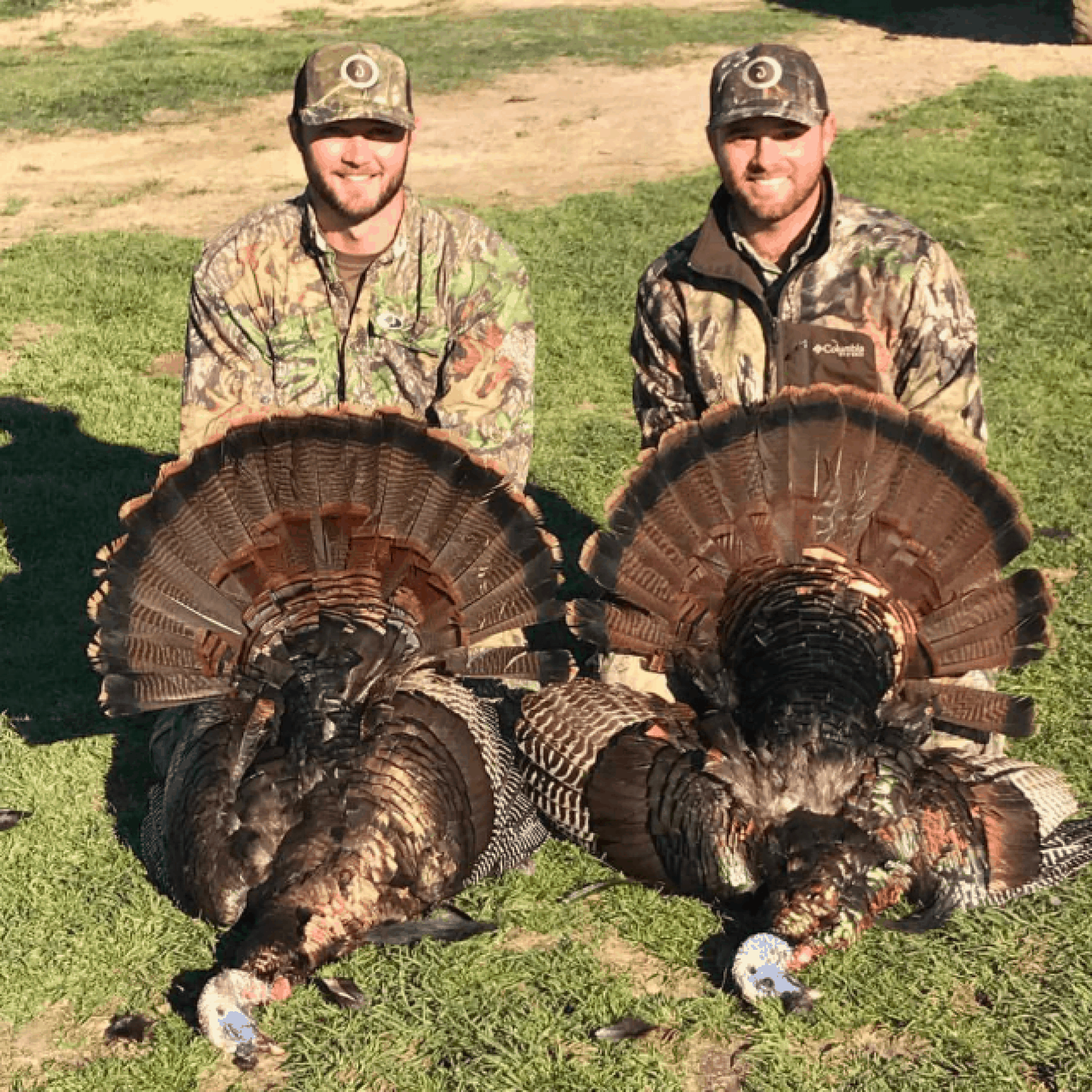 Eastern Turkey Hunting AL Trips4Trade Eastern Turkey Hunting AL Trips4Trade