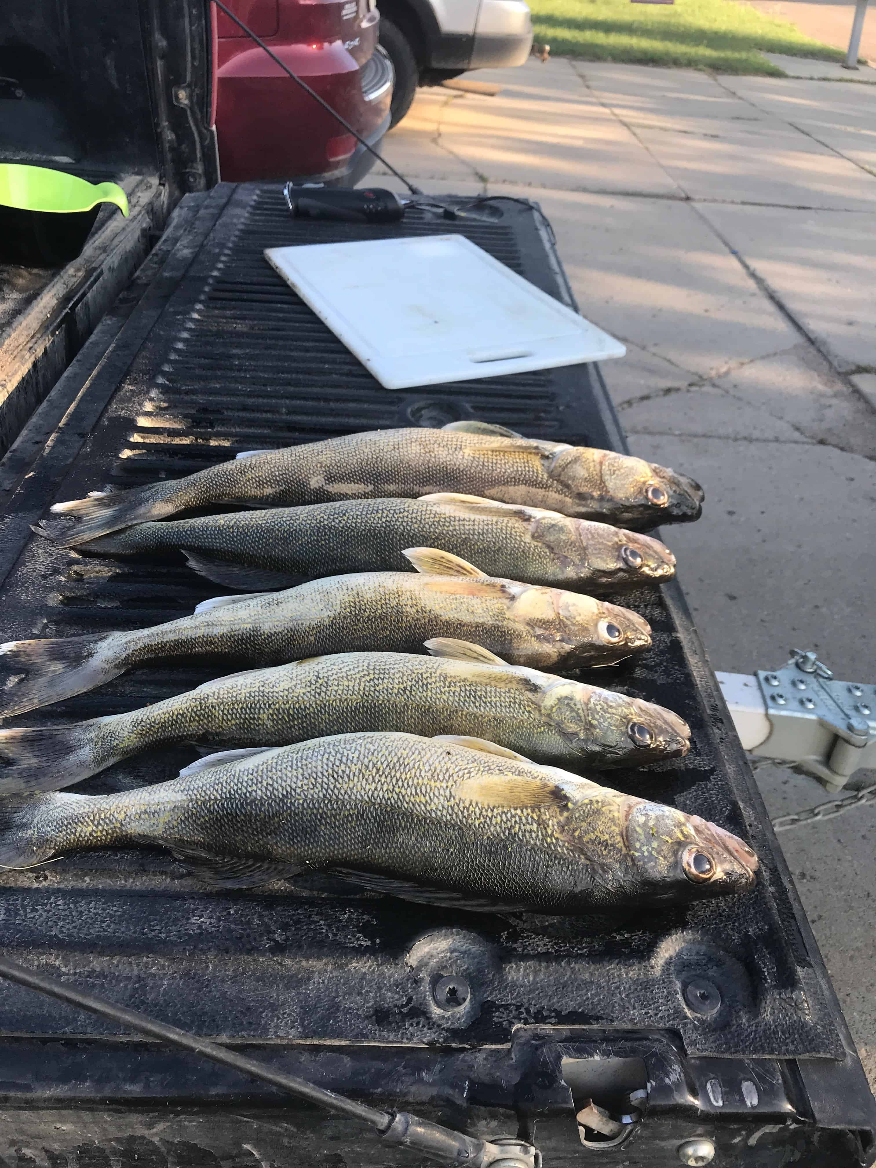 Walleye + Northern Pike Fishing - ND - Trips4Trade