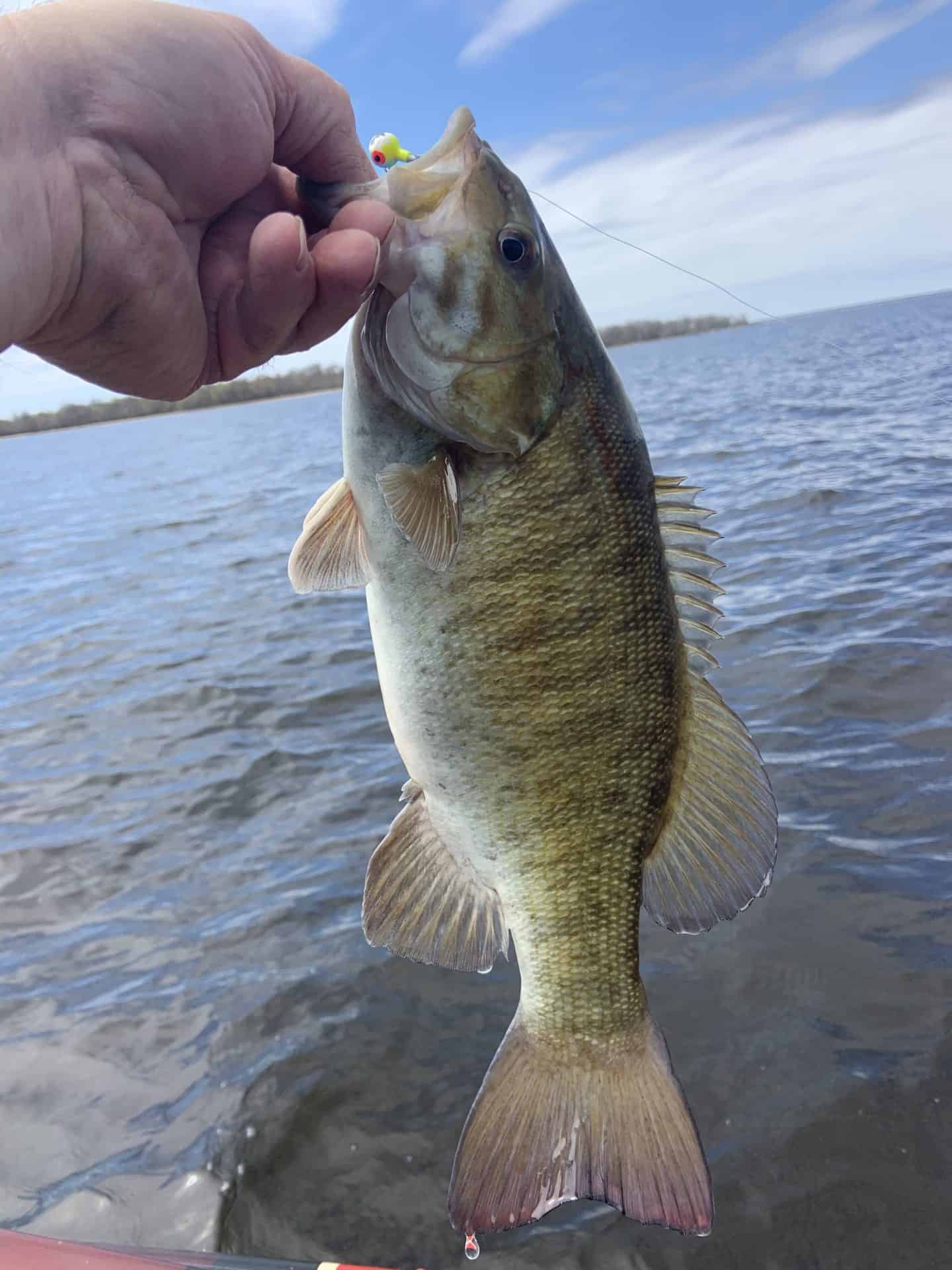 Walleye Fishing MN Trips4Trade