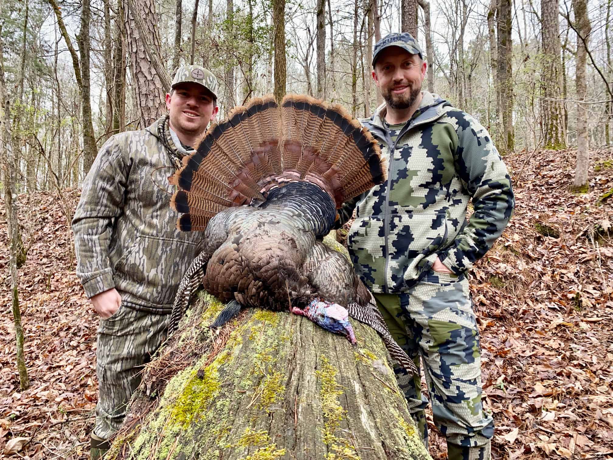 Turkey Season Mississippi 2025