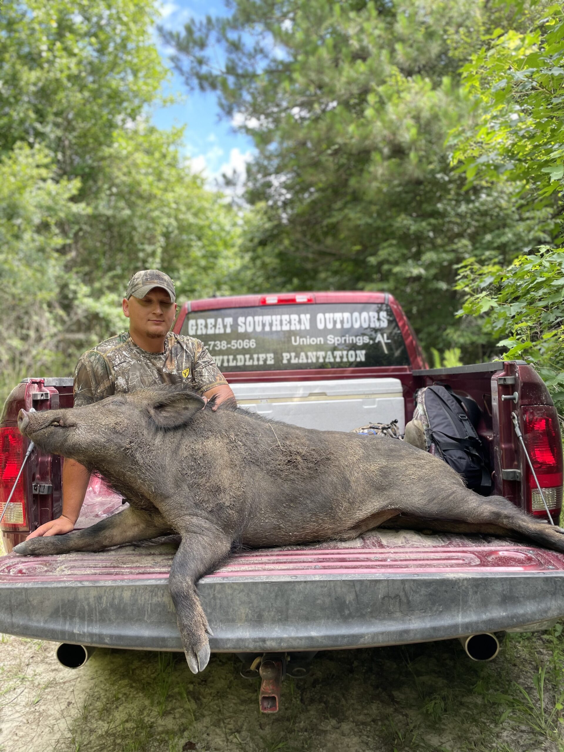 hog hunting trips